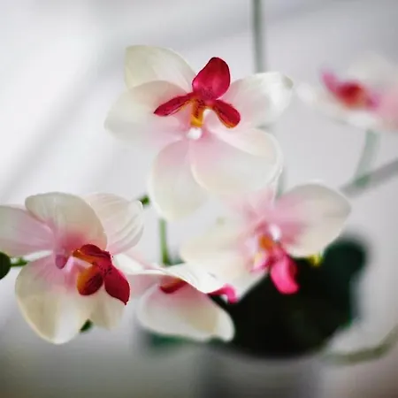 Cozy And Stylish With A-c In Center!