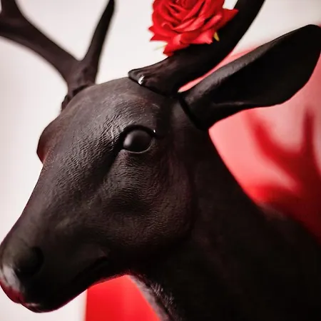 Cozy And Stylish With A-c In Center!