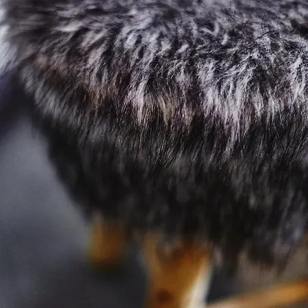 Cozy And Stylish With A-c In Center! Apartmán *